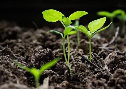 20200628120730305.png 20200628120730305.png